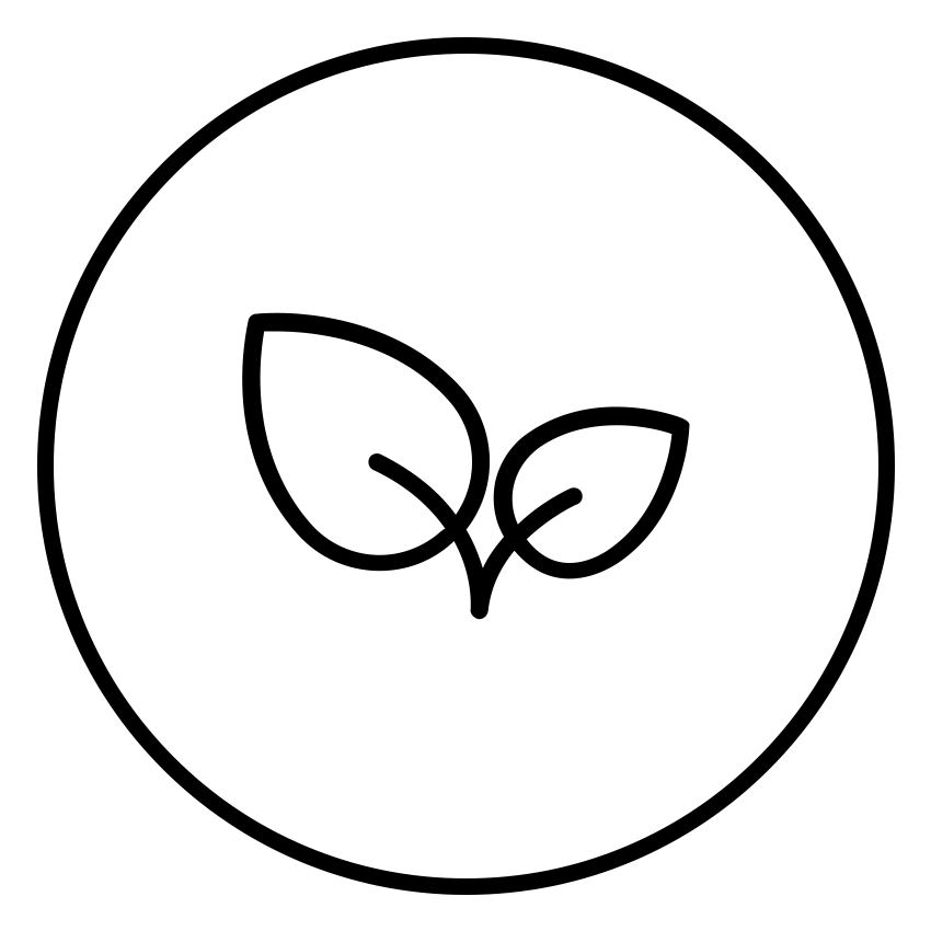 LIPOVEDA Produktbündel